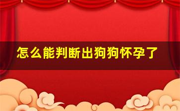 怎么能判断出狗狗怀孕了