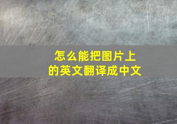 怎么能把图片上的英文翻译成中文