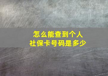 怎么能查到个人社保卡号码是多少