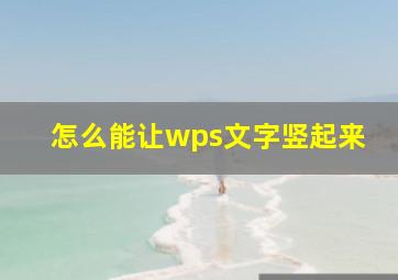 怎么能让wps文字竖起来