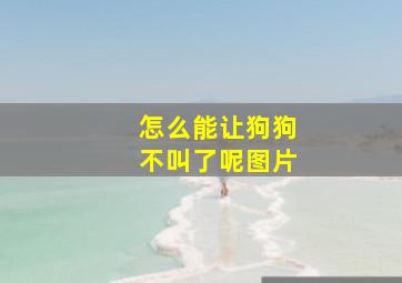 怎么能让狗狗不叫了呢图片