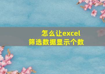 怎么让excel筛选数据显示个数