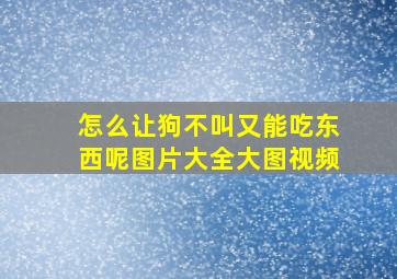 怎么让狗不叫又能吃东西呢图片大全大图视频