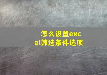 怎么设置excel筛选条件选项