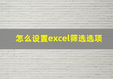 怎么设置excel筛选选项