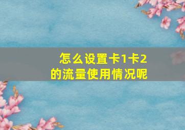 怎么设置卡1卡2的流量使用情况呢