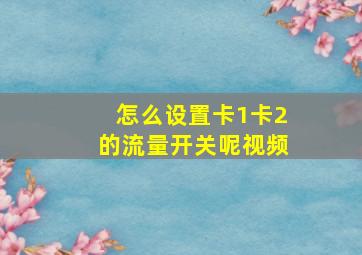 怎么设置卡1卡2的流量开关呢视频