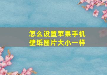 怎么设置苹果手机壁纸图片大小一样