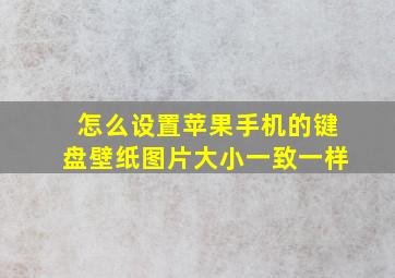 怎么设置苹果手机的键盘壁纸图片大小一致一样