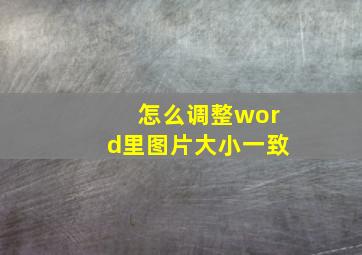 怎么调整word里图片大小一致