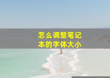 怎么调整笔记本的字体大小