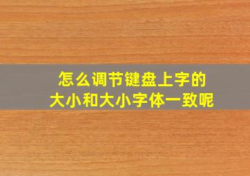 怎么调节键盘上字的大小和大小字体一致呢