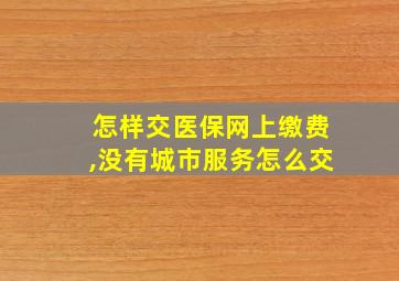 怎样交医保网上缴费,没有城市服务怎么交