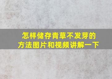 怎样储存青草不发芽的方法图片和视频讲解一下