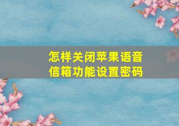 怎样关闭苹果语音信箱功能设置密码