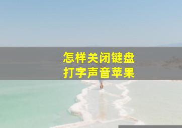 怎样关闭键盘打字声音苹果