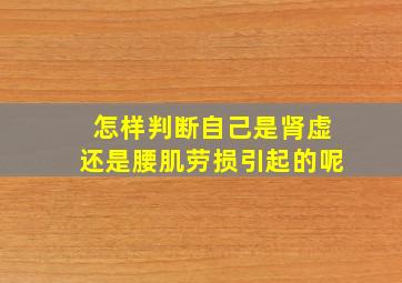 怎样判断自己是肾虚还是腰肌劳损引起的呢