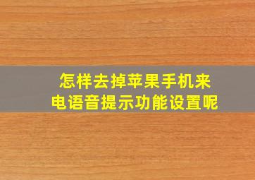 怎样去掉苹果手机来电语音提示功能设置呢