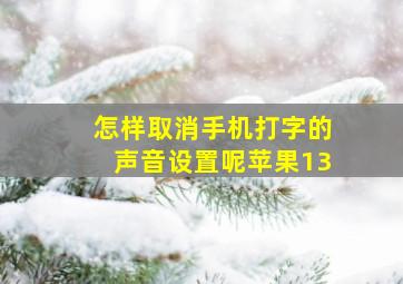 怎样取消手机打字的声音设置呢苹果13