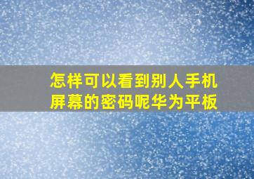 怎样可以看到别人手机屏幕的密码呢华为平板