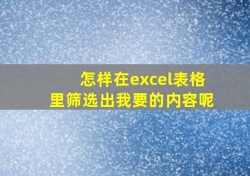 怎样在excel表格里筛选出我要的内容呢