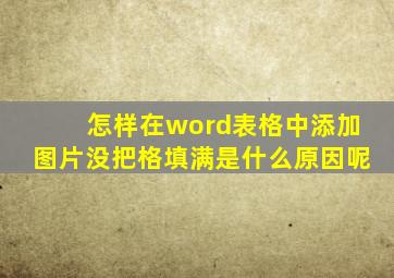 怎样在word表格中添加图片没把格填满是什么原因呢