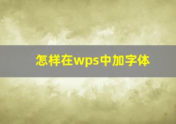 怎样在wps中加字体