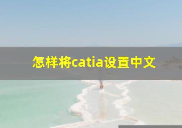 怎样将catia设置中文