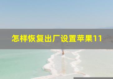 怎样恢复出厂设置苹果11