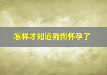 怎样才知道狗狗怀孕了