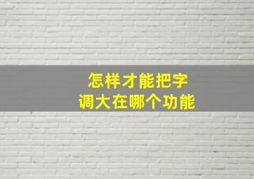 怎样才能把字调大在哪个功能