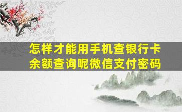 怎样才能用手机查银行卡余额查询呢微信支付密码