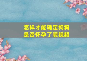 怎样才能确定狗狗是否怀孕了呢视频