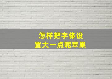 怎样把字体设置大一点呢苹果