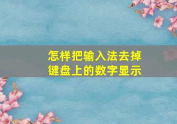 怎样把输入法去掉键盘上的数字显示