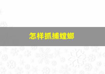 怎样抓捕螳螂