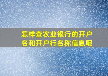 怎样查农业银行的开户名和开户行名称信息呢