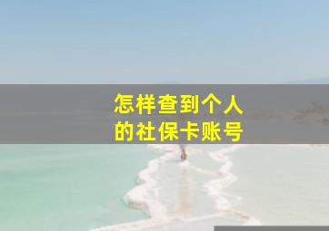 怎样查到个人的社保卡账号