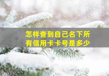 怎样查到自己名下所有信用卡卡号是多少