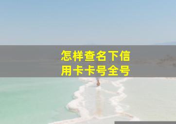 怎样查名下信用卡卡号全号