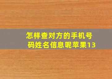 怎样查对方的手机号码姓名信息呢苹果13