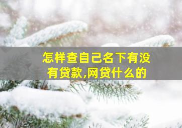 怎样查自己名下有没有贷款,网贷什么的