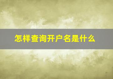 怎样查询开户名是什么