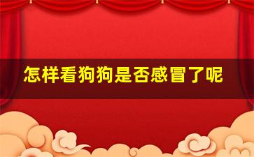 怎样看狗狗是否感冒了呢