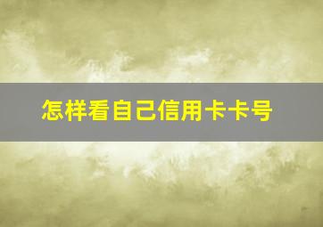 怎样看自己信用卡卡号