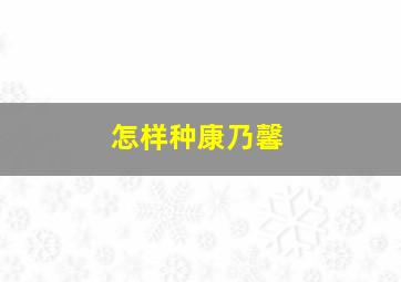 怎样种康乃馨