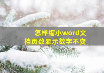 怎样缩小word文档页数显示数字不变