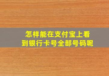 怎样能在支付宝上看到银行卡号全部号码呢