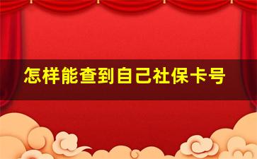 怎样能查到自己社保卡号