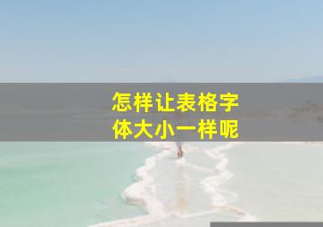 怎样让表格字体大小一样呢